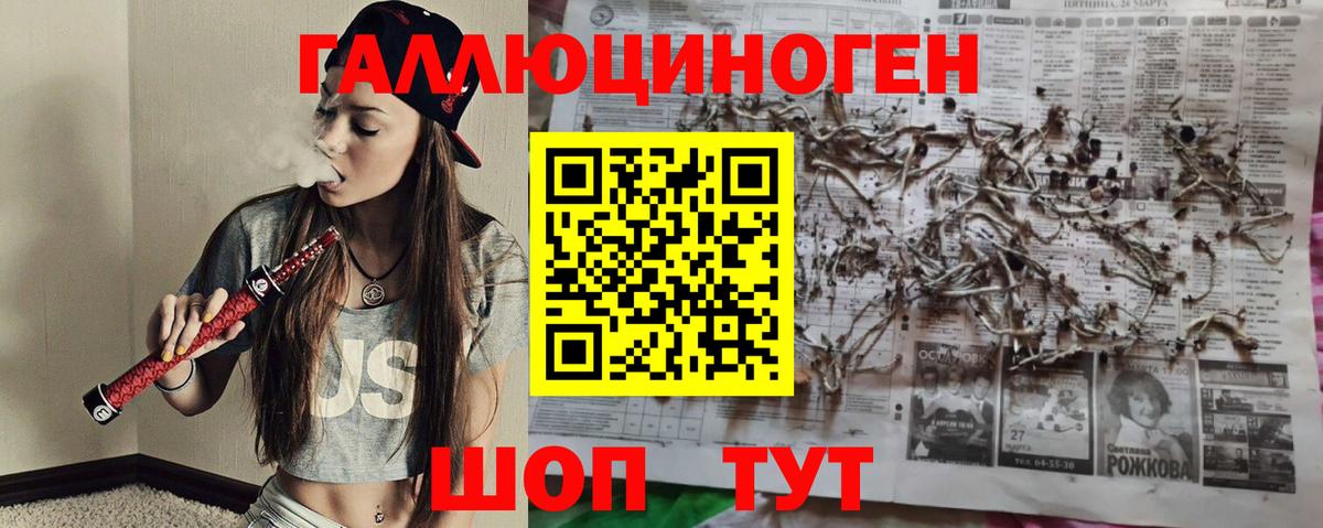 закладки  Псилоцибиновые грибы Psilocybe  Вход с VPN  Новосибирск 