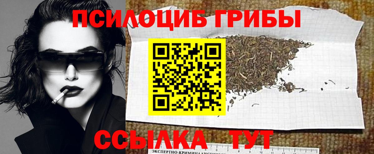Псилоцибиновые грибы ЛСД Новосибирск